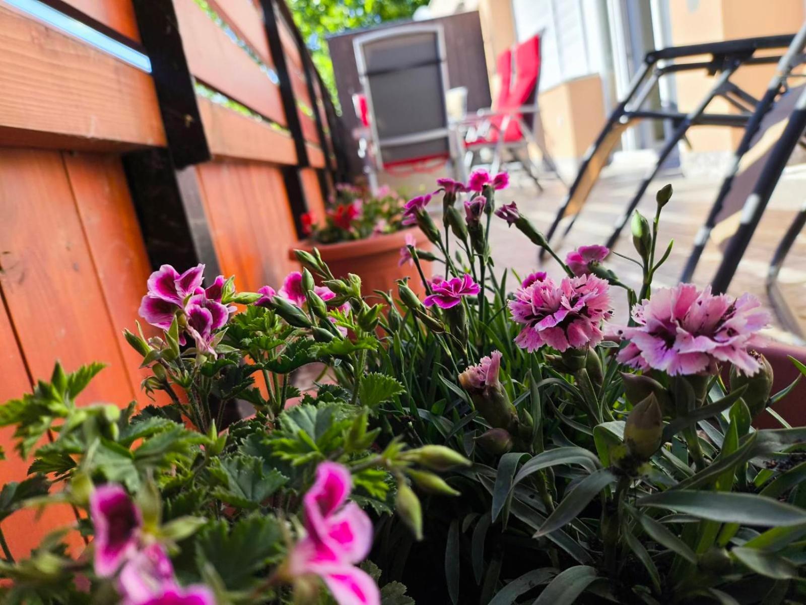 100 Lepes - 100 Steps - Apt With Huge Terrace Next To The Thermal Bath 哈卡尼 外观 照片